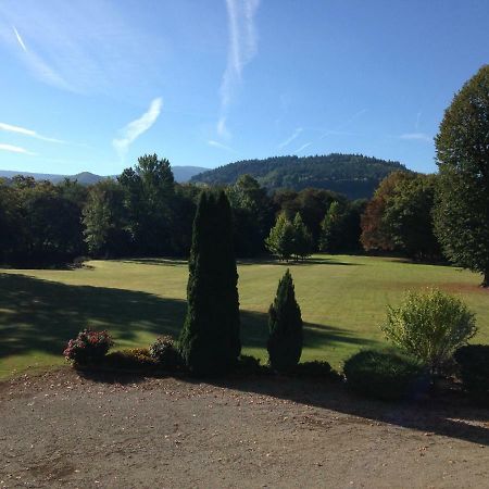 Chateau Du Val Larbont La Bastide-de-Serou Экстерьер фото