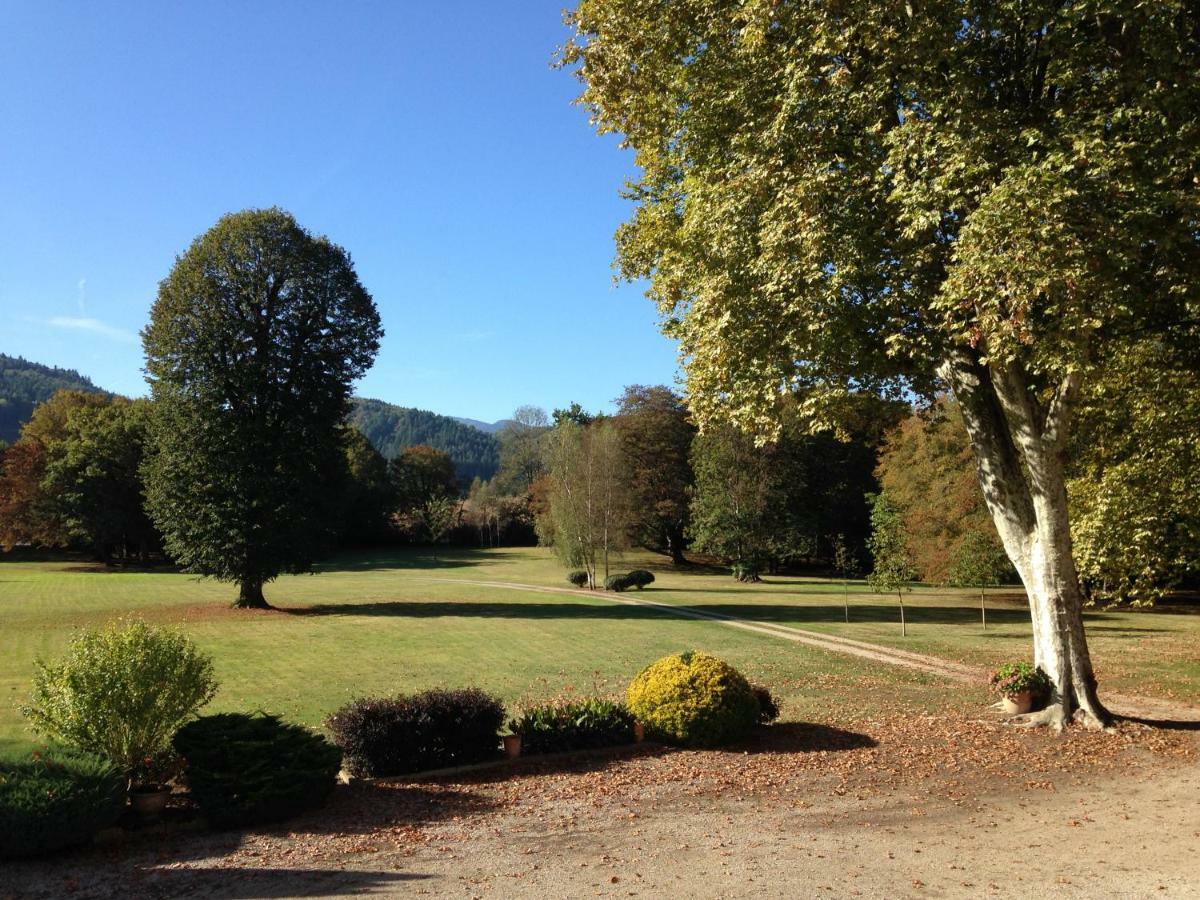 Chateau Du Val Larbont La Bastide-de-Serou Экстерьер фото